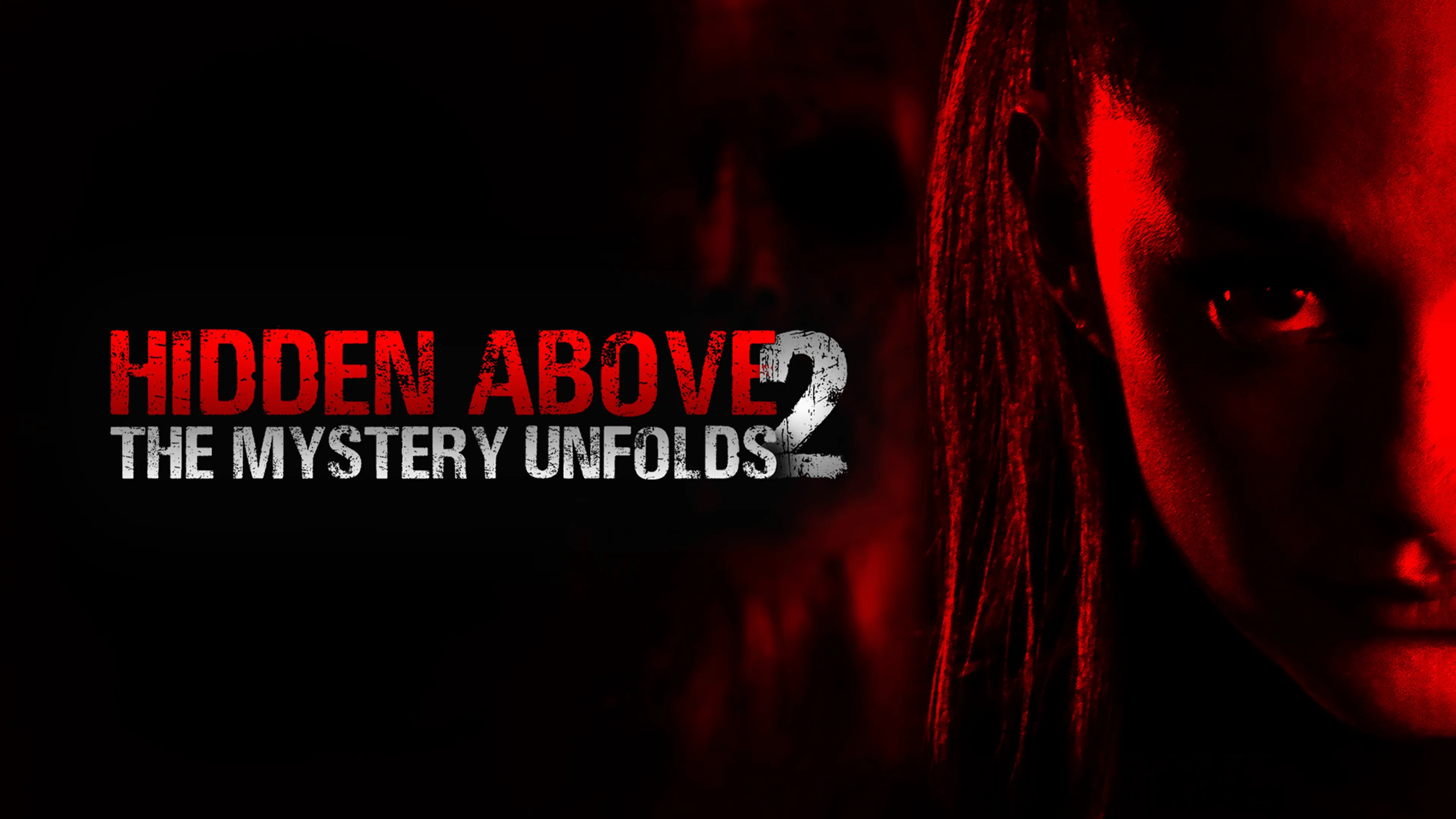 Hidden Above 2: The Mystery Unfolds poster